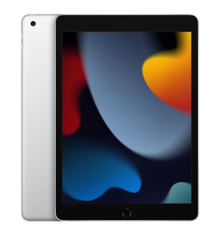 iPad 10.2 - فضي